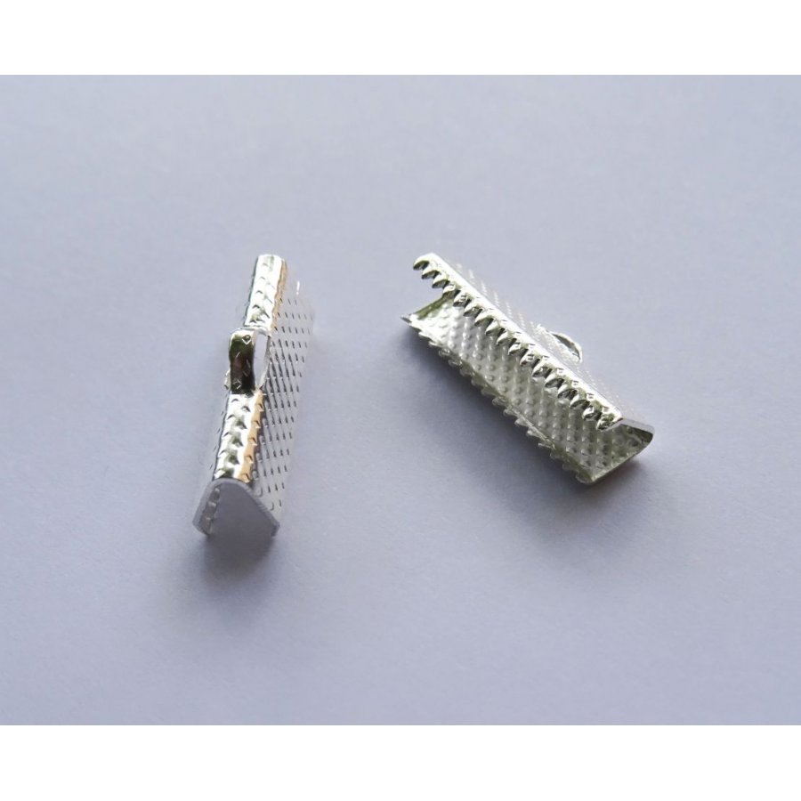 Clamping tips silver 20 mm x 2