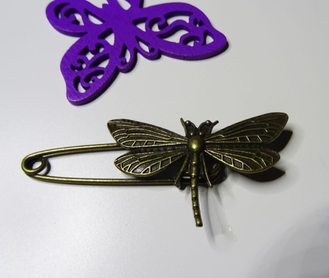 Antique bronze dragonfly pin