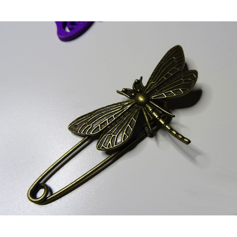 Antique bronze dragonfly pin