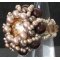 Kit bague Ouvea Beiges