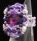 Notice of ring skali violet