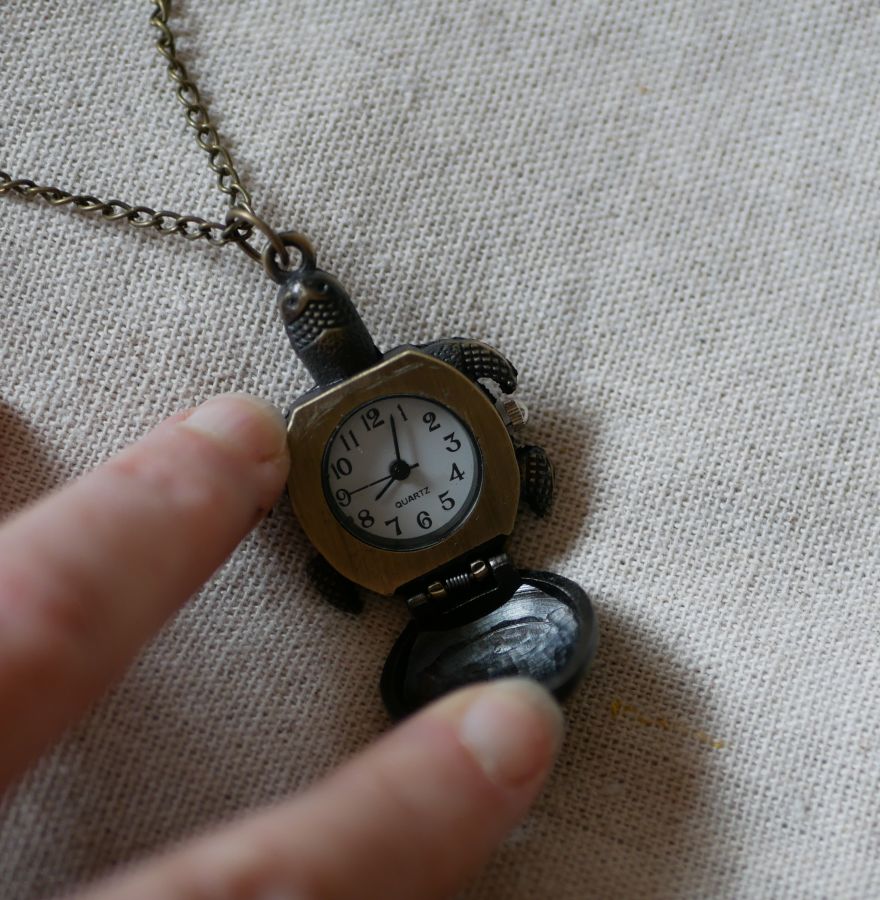 Turtle pocket watch pendant on chain